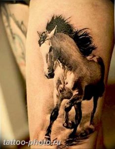 фото тату лошадь 24.12.2018 №059 - photo horse tattoo - tattoo-photo.ru