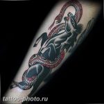 фото тату лошадь 24.12.2018 №063 - photo horse tattoo - tattoo-photo.ru