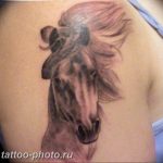 фото тату лошадь 24.12.2018 №064 - photo horse tattoo - tattoo-photo.ru