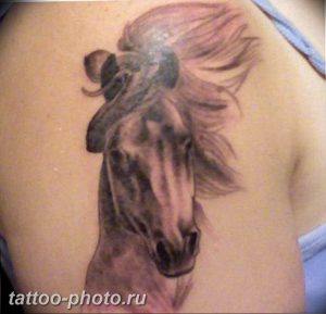 фото тату лошадь 24.12.2018 №064 - photo horse tattoo - tattoo-photo.ru