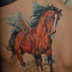 фото тату лошадь 24.12.2018 №068 - photo horse tattoo - tattoo-photo.ru