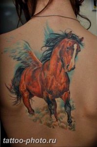 фото тату лошадь 24.12.2018 №068 - photo horse tattoo - tattoo-photo.ru