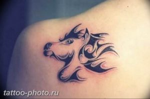 фото тату лошадь 24.12.2018 №072 - photo horse tattoo - tattoo-photo.ru