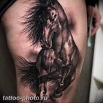 фото тату лошадь 24.12.2018 №074 - photo horse tattoo - tattoo-photo.ru