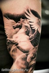 фото тату лошадь 24.12.2018 №077 - photo horse tattoo - tattoo-photo.ru