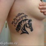 фото тату лошадь 24.12.2018 №079 - photo horse tattoo - tattoo-photo.ru