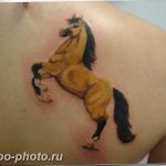 фото тату лошадь 24.12.2018 №080 - photo horse tattoo - tattoo-photo.ru