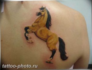 фото тату лошадь 24.12.2018 №080 - photo horse tattoo - tattoo-photo.ru