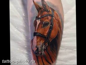 фото тату лошадь 24.12.2018 №084 - photo horse tattoo - tattoo-photo.ru