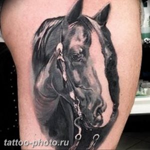 фото тату лошадь 24.12.2018 №087 - photo horse tattoo - tattoo-photo.ru