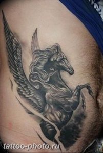 фото тату лошадь 24.12.2018 №089 - photo horse tattoo - tattoo-photo.ru