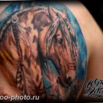 фото тату лошадь 24.12.2018 №093 - photo horse tattoo - tattoo-photo.ru