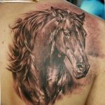 фото тату лошадь 24.12.2018 №095 - photo horse tattoo - tattoo-photo.ru