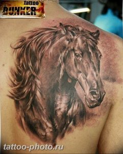 фото тату лошадь 24.12.2018 №095 - photo horse tattoo - tattoo-photo.ru