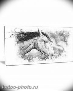 фото тату лошадь 24.12.2018 №096 - photo horse tattoo - tattoo-photo.ru