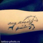 фото тату лошадь 24.12.2018 №101 - photo horse tattoo - tattoo-photo.ru