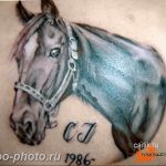 фото тату лошадь 24.12.2018 №103 - photo horse tattoo - tattoo-photo.ru