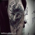 фото тату лошадь 24.12.2018 №111 - photo horse tattoo - tattoo-photo.ru