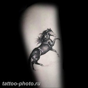 фото тату лошадь 24.12.2018 №112 - photo horse tattoo - tattoo-photo.ru