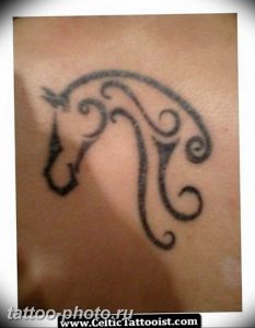 фото тату лошадь 24.12.2018 №116 - photo horse tattoo - tattoo-photo.ru