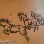 фото тату лошадь 24.12.2018 №117 - photo horse tattoo - tattoo-photo.ru