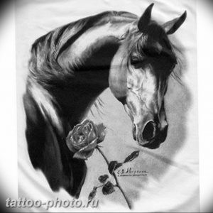 фото тату лошадь 24.12.2018 №124 - photo horse tattoo - tattoo-photo.ru