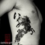 фото тату лошадь 24.12.2018 №127 - photo horse tattoo - tattoo-photo.ru