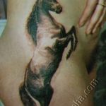 фото тату лошадь 24.12.2018 №133 - photo horse tattoo - tattoo-photo.ru