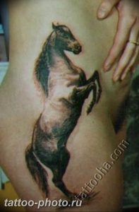 фото тату лошадь 24.12.2018 №133 - photo horse tattoo - tattoo-photo.ru