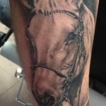 фото тату лошадь 24.12.2018 №135 - photo horse tattoo - tattoo-photo.ru