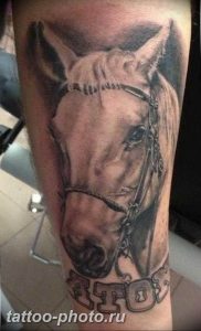 фото тату лошадь 24.12.2018 №135 - photo horse tattoo - tattoo-photo.ru