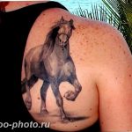 фото тату лошадь 24.12.2018 №138 - photo horse tattoo - tattoo-photo.ru