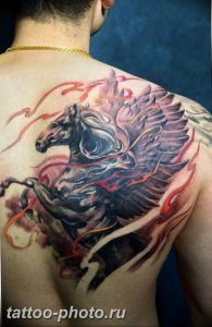 фото тату лошадь 24.12.2018 №141 - photo horse tattoo - tattoo-photo.ru