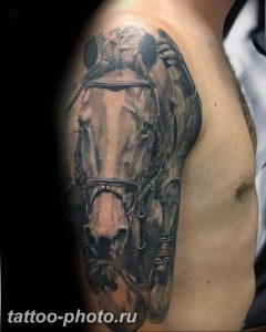 фото тату лошадь 24.12.2018 №145 - photo horse tattoo - tattoo-photo.ru
