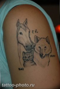 фото тату лошадь 24.12.2018 №148 - photo horse tattoo - tattoo-photo.ru