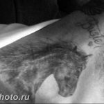 фото тату лошадь 24.12.2018 №149 - photo horse tattoo - tattoo-photo.ru