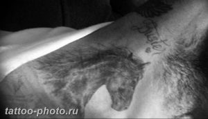 фото тату лошадь 24.12.2018 №149 - photo horse tattoo - tattoo-photo.ru
