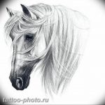 фото тату лошадь 24.12.2018 №152 - photo horse tattoo - tattoo-photo.ru