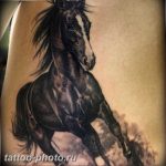 фото тату лошадь 24.12.2018 №154 - photo horse tattoo - tattoo-photo.ru