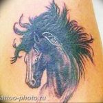 фото тату лошадь 24.12.2018 №155 - photo horse tattoo - tattoo-photo.ru