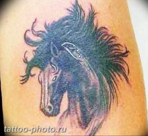 фото тату лошадь 24.12.2018 №155 - photo horse tattoo - tattoo-photo.ru