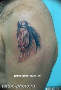 фото тату лошадь 24.12.2018 №156 - photo horse tattoo - tattoo-photo.ru