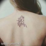 фото тату лошадь 24.12.2018 №158 - photo horse tattoo - tattoo-photo.ru