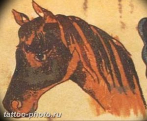 фото тату лошадь 24.12.2018 №159 - photo horse tattoo - tattoo-photo.ru