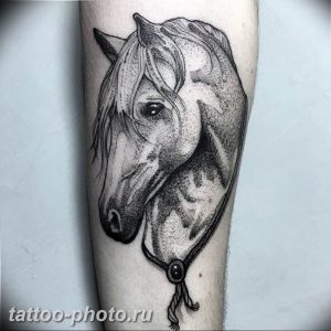 фото тату лошадь 24.12.2018 №167 - photo horse tattoo - tattoo-photo.ru