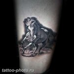фото тату лошадь 24.12.2018 №168 - photo horse tattoo - tattoo-photo.ru