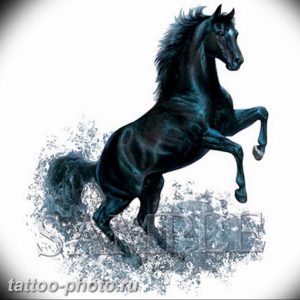 фото тату лошадь 24.12.2018 №169 - photo horse tattoo - tattoo-photo.ru