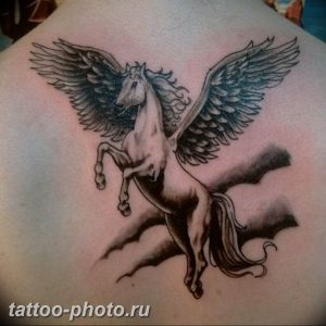 фото тату лошадь 24.12.2018 №188 - photo horse tattoo - tattoo-photo.ru