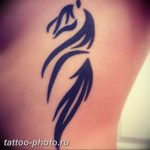 фото тату лошадь 24.12.2018 №194 - photo horse tattoo - tattoo-photo.ru