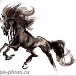 фото тату лошадь 24.12.2018 №197 - photo horse tattoo - tattoo-photo.ru